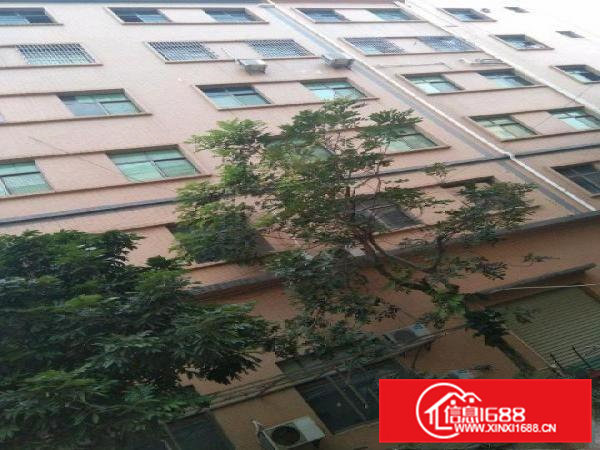 本厂招租，房东直租，有意者电联