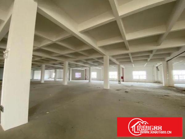 官窑全新2-5层厂房