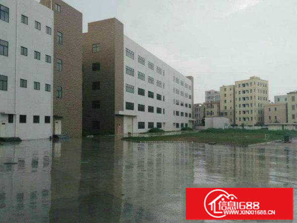 坪山新出4万平米原房东红本独院厂房招租