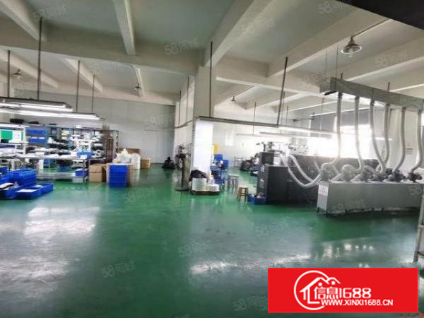 大岭山鸡翅岭花园式厂房出租一楼2500平，楼上1400平！