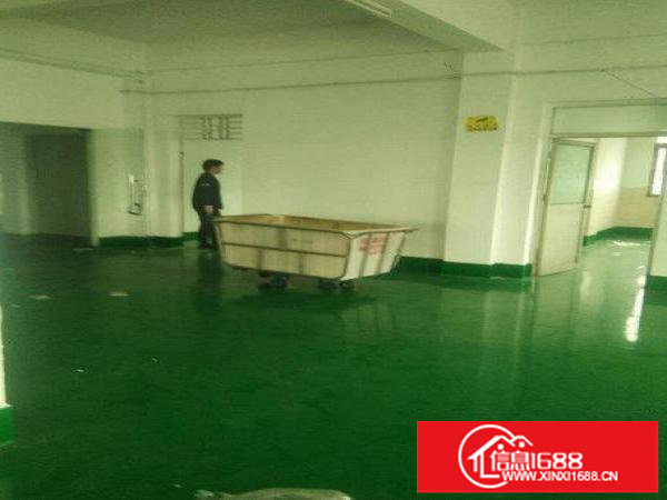 龙岗区坂田新出电商仓库590平出租急租整租