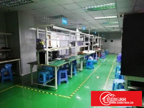 潼湖新光2楼630平全新装修厂房出租带无尘车间