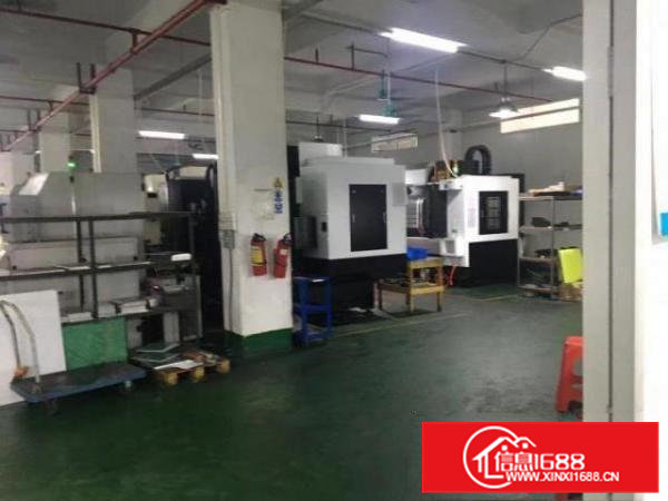 急租常平镇常230平方标准厂房水电齐全价格便宜