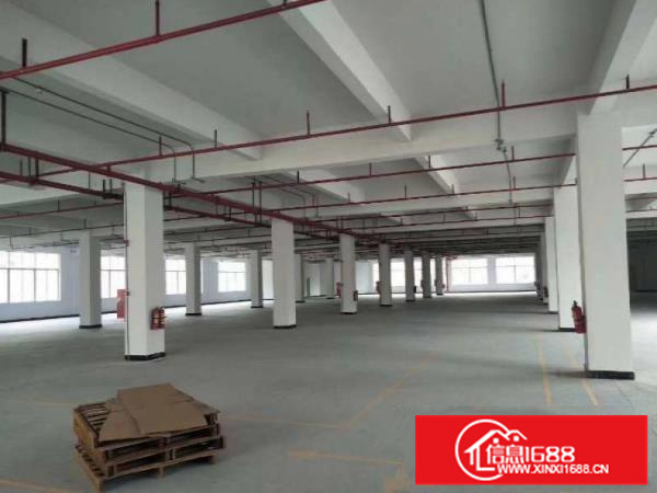 本人转租罗阳小金1楼1000平花园式厂房带办公室装修