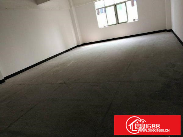 龙岗爱联地铁附近电商办公300招租