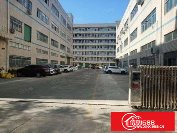 坪山一楼1350平免租2个月原房东金碧路边现成水电装修