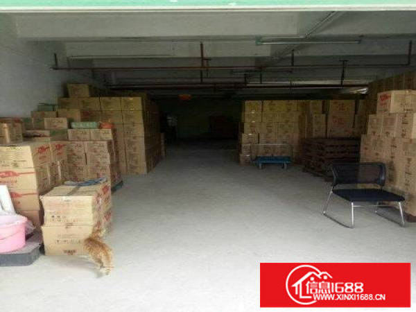 坪山新出480平一楼标准厂房出租