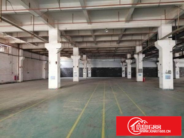 清溪大路边，1到5楼500平起分租，价格低于10元起