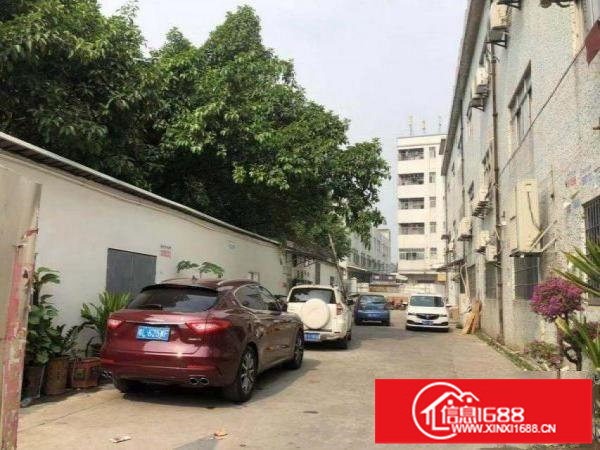 横岗安良原房东楼上整层1200平实际面积带地坪漆厂房出租