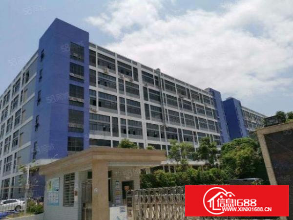 两天必租东坑650平实际面积原房东厂房精装修工业用地