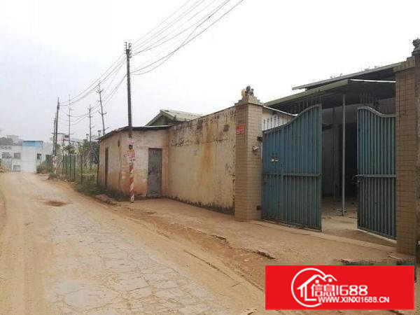 常平1100平米小独院单一层厂房出租