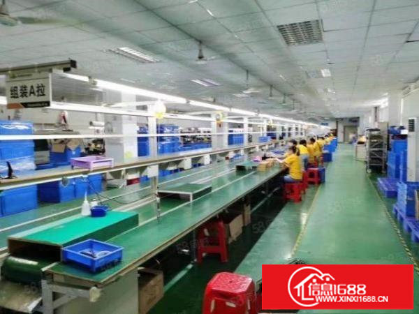 福永桥头独院一楼二楼共4000平出租，带装修无转让费