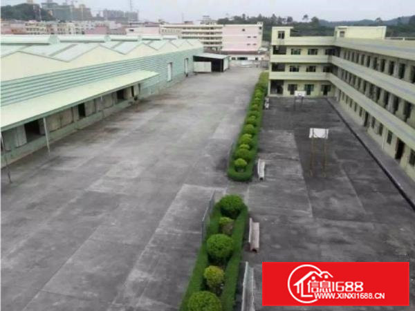 大岭山镇新出单一层独院总面积25000平方滴水10米