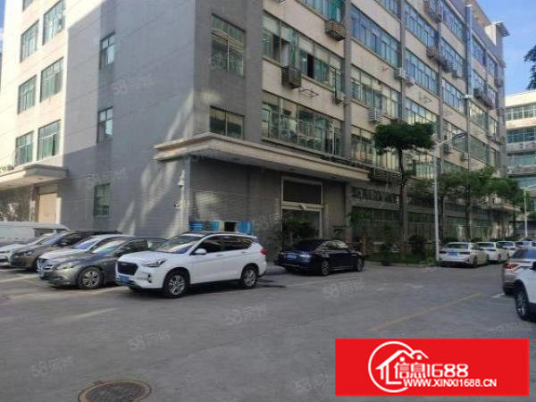 龙华大浪工业园区实用面积出租仓库厂房出租红本精装修厂房可分租