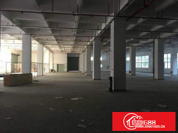 惠阳镇隆原房东12000平米红本独院厂房招租