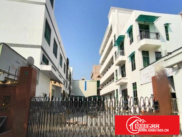 凤岗精品小独院厂房总面积4800平方出租