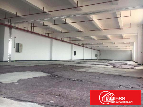 证件齐全容里厂房650方出租带有消防喷淋