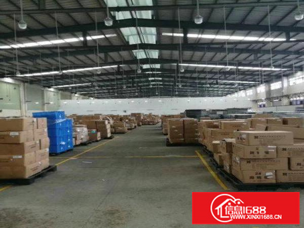 陈江独栋7800平米钢结构出租高度12米