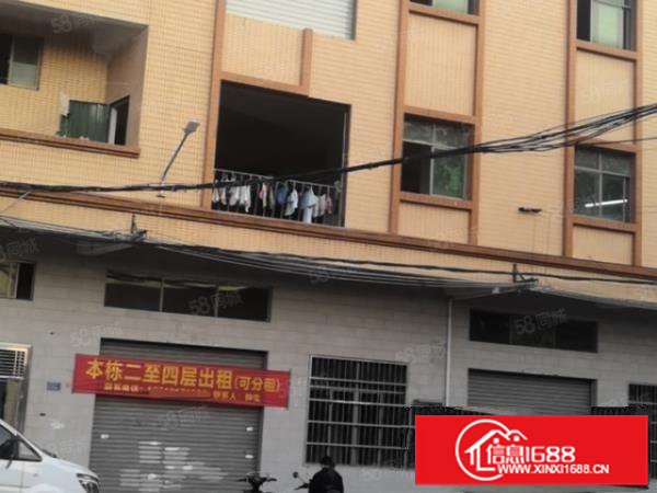 10元原房东厂房，大朗新出独栋3楼4楼各400平，带吊机口