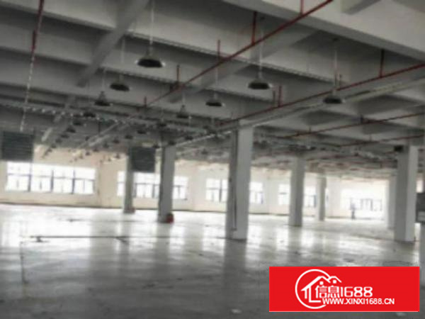 万江独院钢构/简易/标准.大型工业园厂房分租厂房1800平