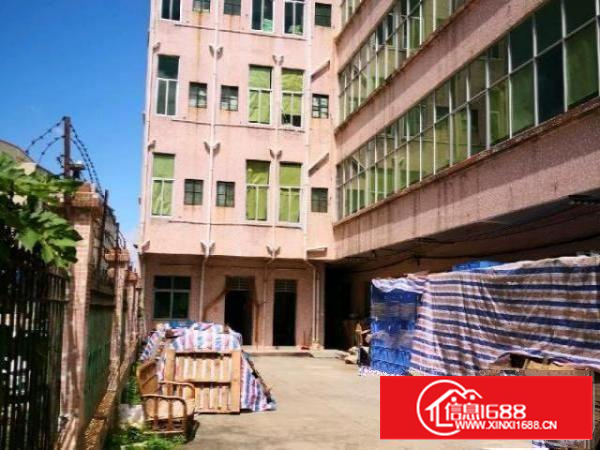 茶山独院厂房只租实业客户，空地大不计租金