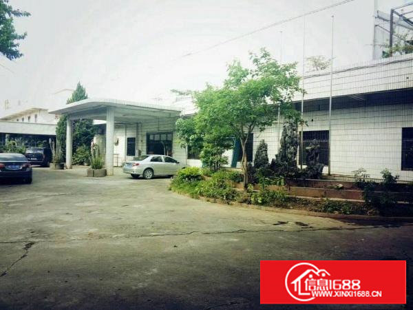 价格仅16块一平方！经典小独院钢构厂房，滴水8米高