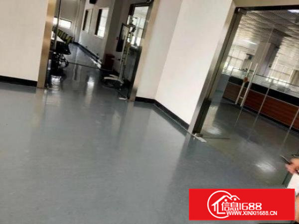 桥头镇大洲村新空出一栋23000平方米出租1000平方米起分