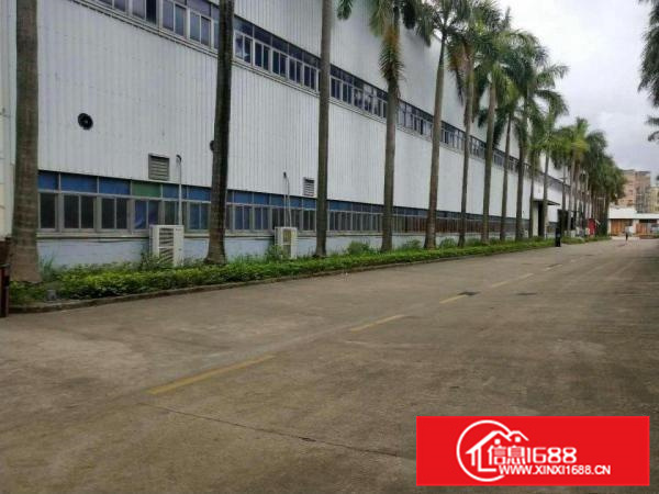 新圩南坑新出原房东滴水8米高钢构招租，可分租