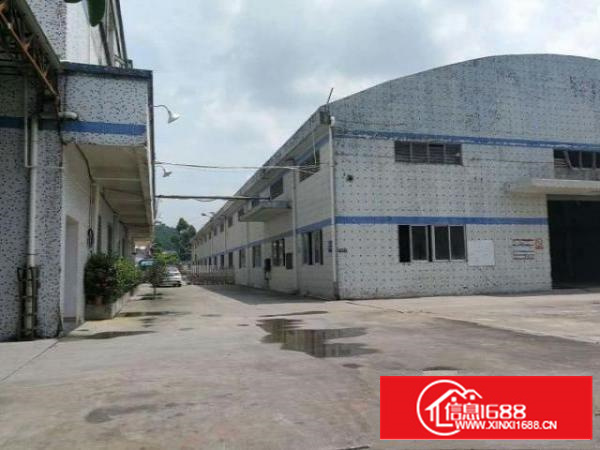 万江严屋工业区单一层钢结构1800平方厂房出租水电办公室齐全