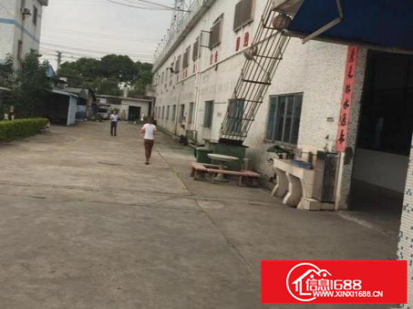 桥头石水口岭厦村厂房800平米