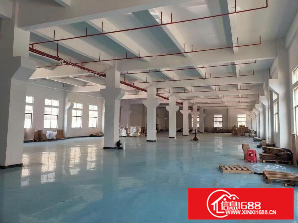 寮步镇石步村独门独院标准楼上2楼1000平厂房出租信息