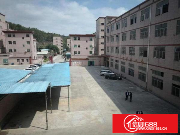 龙岗中心城，宝龙街道办同乐社区，新出独门独院厂房可