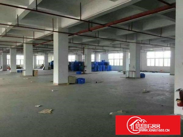 大亚湾(6000平米独院)厂房招租