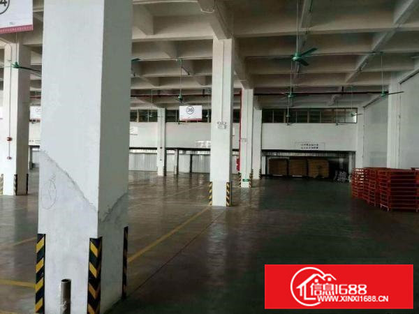 高埗独标准一楼厂房1000平方层高6米、水电线路齐全、空地大