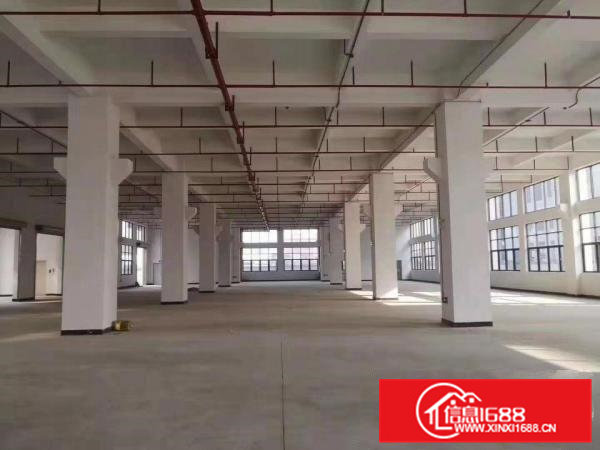 原房东常平火车站旁新出5000平厂房出租形象好