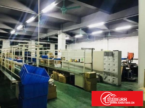 出租桥头桥头城区正规工业已装修好厂房