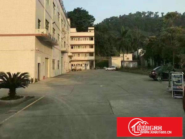 6000平方米独院厂房出租可2000平方米起租