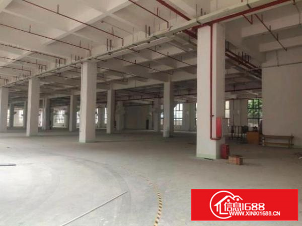 高埗新出独门独院花园式厂房出租总面积46500平方