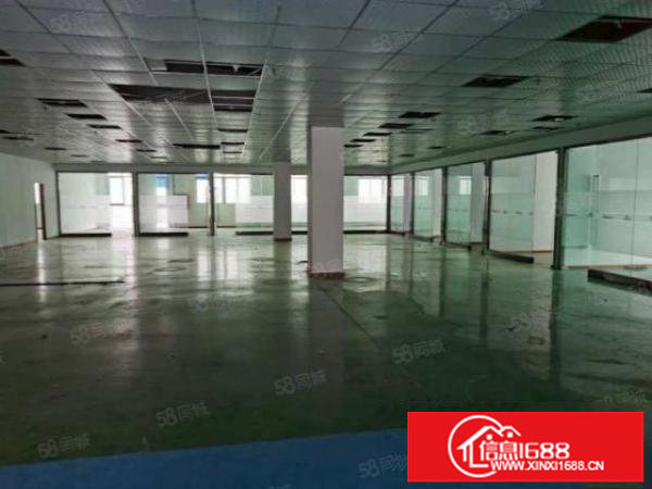 坂田上雪科技园1350平带装修，适合电商外贸仓库办公等