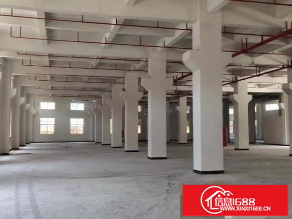 红本产权原房东12000平大小可分租