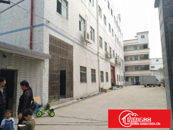 龙岗中心城原房东新出一楼850平方带行车厂房出租