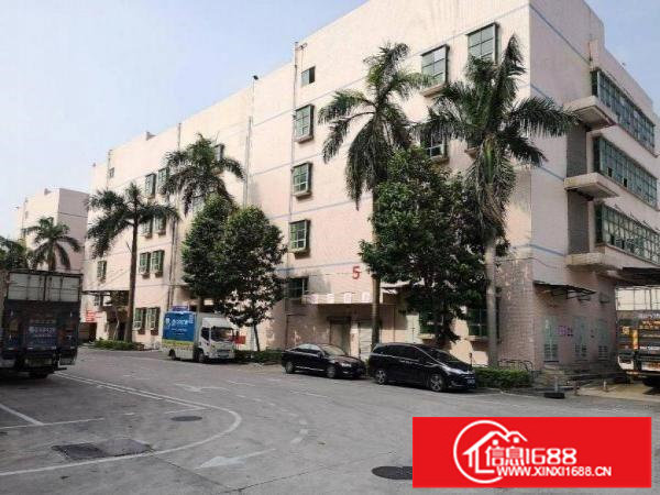 坂田新木村200平400平800平1400平厂房