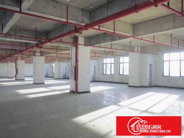 虎门新出高大上原房东全新厂房