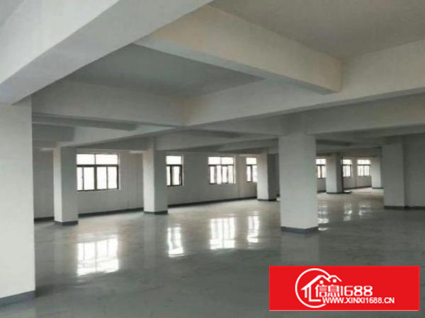 石排赤坎村新出独栋厂房1000平方，可分租。