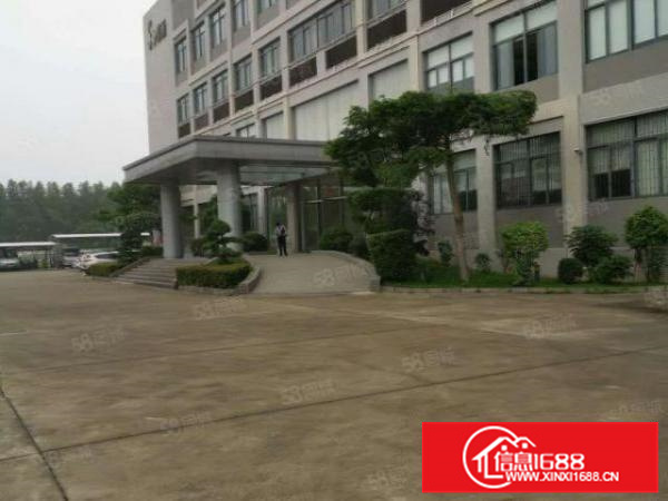 顺德区杏坛新出独院标准厂房一楼约3700平滴水8米有房产证