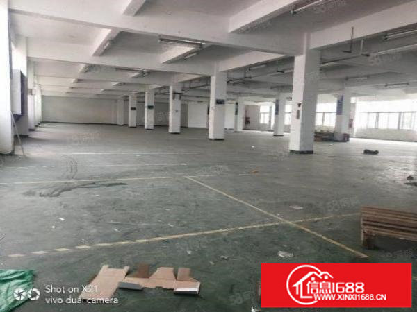 龙岗中心城独院厂房4800平米一楼1200平米500平米起租
