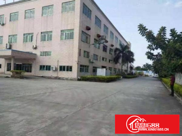 原房东超大空地首层高度6.5米独门独院出租