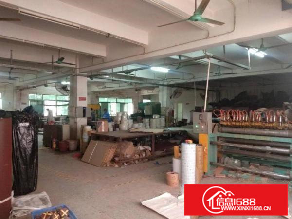 大岭山马蹄岗独院楼上900平厂房出租