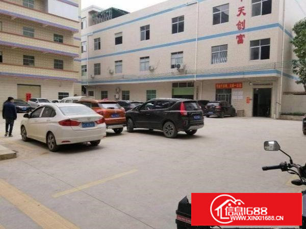 坂田标准厂房一楼1180平方可分租高度6米电100