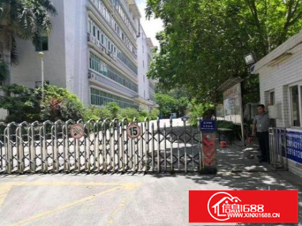 龙华清湖地铁口旁边原房东实际面积出租1050平